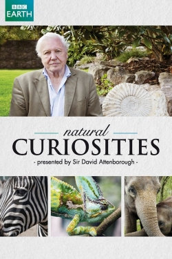 Watch David Attenborough's Natural Curiosities movies free hd online