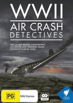 Watch WWII Air Crash Detectives movies free hd online