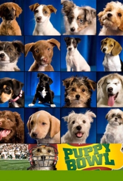 Watch Puppy Bowl movies free hd online