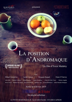 Watch La Position d'Andromaque movies free hd online