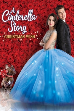 Watch A Cinderella Story: Christmas Wish movies free hd online