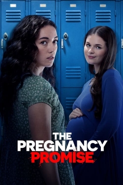 Watch The Pregnancy Promise movies free hd online