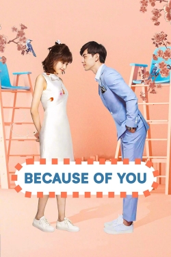 Watch Because of You movies free hd online