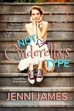 Watch Not Cinderella's Type movies free hd online