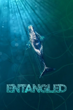 Watch Entangled: The Race to Save Right Whales from Extinction movies free hd online