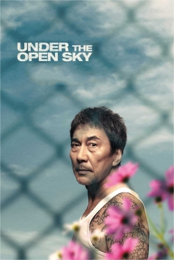 Watch Under the Open Sky movies free hd online