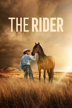 Watch The Rider movies free hd online