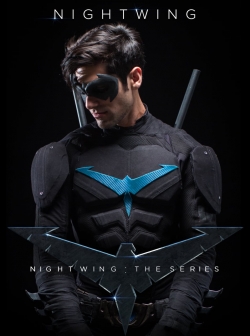 Watch Nightwing: The Series movies free hd online