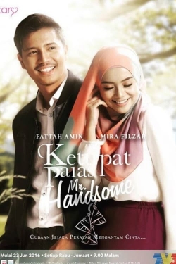 Watch Ketupat Palas Mr Handsome movies free hd online