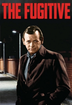 Watch The Fugitive movies free hd online