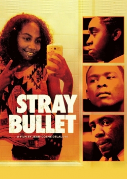 Watch Stray Bullet movies free hd online