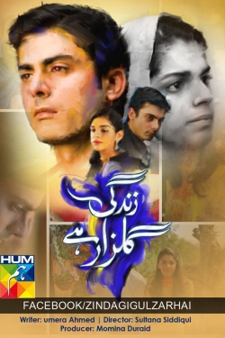 Watch Zindagi Gulzar Hai movies free hd online