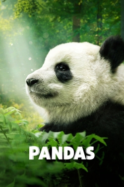 Watch Pandas movies free hd online