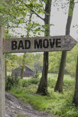 Watch Bad Move movies free hd online