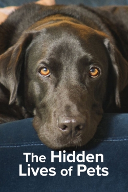 Watch The Hidden Lives of Pets movies free hd online