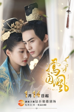 Watch Untouchable Lovers movies free hd online