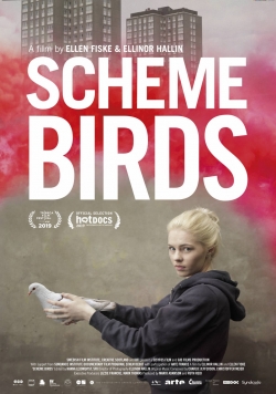 Watch Scheme Birds movies free hd online