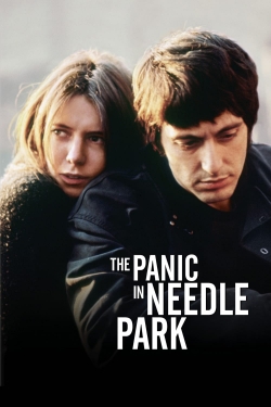 Watch The Panic in Needle Park movies free hd online