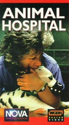 Watch Animal Hospital movies free hd online