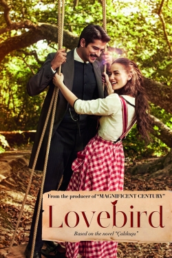 Watch Lovebird movies free hd online