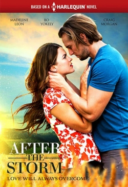 Watch After the Storm movies free hd online