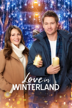 Watch Love in Winterland movies free hd online