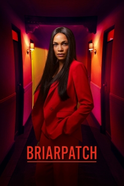 Watch Briarpatch movies free hd online