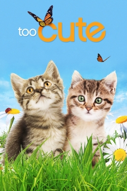 Watch Too Cute movies free hd online