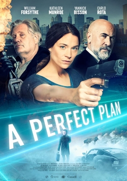 Watch A Perfect Plan movies free hd online