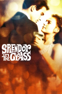 Watch Splendor in the Grass movies free hd online