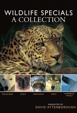 Watch BBC Wildlife Specials movies free hd online