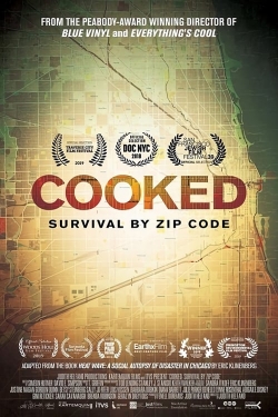 Watch Cooked: Survival by Zip Code movies free hd online