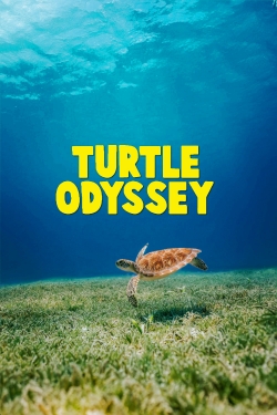 Watch Turtle Odyssey movies free hd online