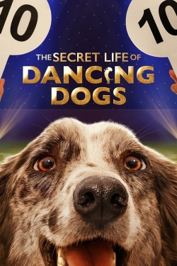 Watch The Secret Life of Dancing Dogs movies free hd online