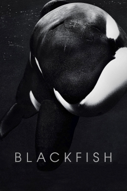 Watch Blackfish movies free hd online