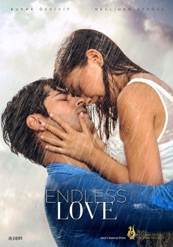 Watch Endless Love movies free hd online