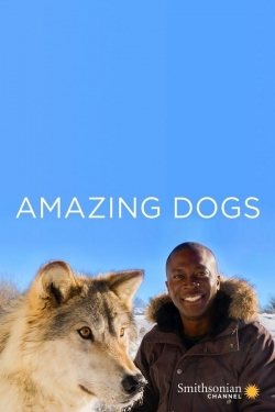 Watch Amazing Dogs movies free hd online