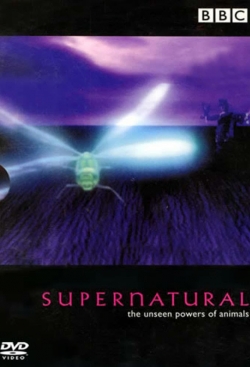 Watch Supernatural: Unseen Power of Animals movies free hd online