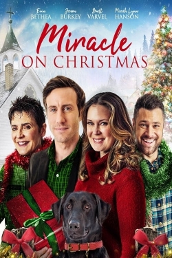 Watch Miracle on Christmas movies free hd online