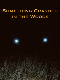 Watch Something Crashed in the Woods movies free hd online