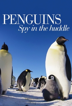 Watch Penguins: Spy in the Huddle movies free hd online