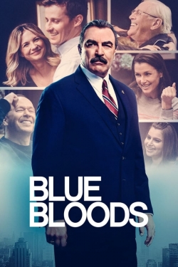 Watch Blue Bloods movies free hd online