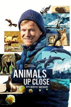 Watch Animals Up Close with Bertie Gregory movies free hd online