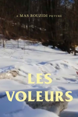 Watch Les Voleurs movies free hd online