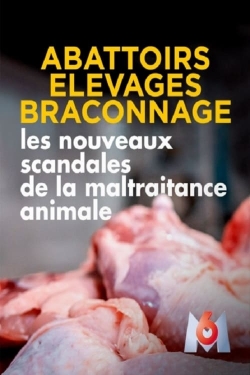 Watch Abattoirs, élevages, braconnage, les nouveaux scandales de la maltraitance animale movies free hd online