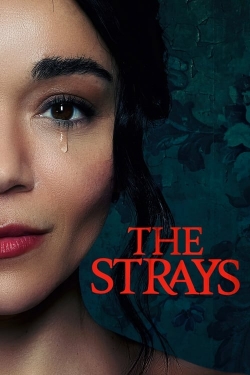 Watch The Strays movies free hd online