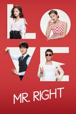 Watch Mr. Right movies free hd online