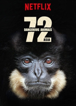 Watch 72 Dangerous Animals: Asia movies free hd online