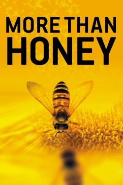 Watch More Than Honey movies free hd online