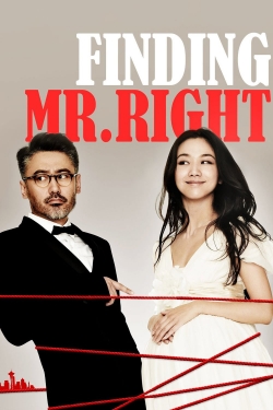 Watch Finding Mr. Right movies free hd online